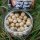 Supreme Baits Supreme Wafter ZimtZamba 8-12mm Dumbell