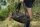 Nash Subterfuge Duffel Bag Small 20L