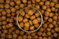 Forgotten Flavours 100% NATURAL Wafters Insect