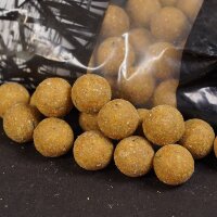 CCMoore Continental 21mm 5KG