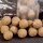 CCMoore Continental 21mm 5KG
