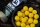 Korda Goo Pom and Pear Supreme