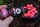 Korda Goo Salmon Supreme