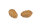 Fox Edges Tigernuts