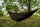Bank Life Hammock