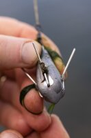 Korda Grapple Lead