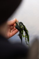 Korda Grapple Lead 4oz