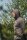 Korda UPF Hooded Top | Dark Khaki