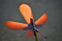 SPYDER SPOD Medium Orange/Black