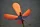 SPYDER SPOD Medium Orange/Black