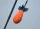 SPYDER SPOD Medium Orange/Black