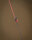 Spomb Braided Leader 50m 40lb black