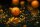 Black Label Baits Fruity Thrill 3,5kg 24mm