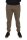 Fox Collection Jogger - Green