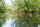 Nash Scope OPS Retract Landing Net 42"