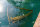 Nash Scope OPS Retract Landing Net 42"