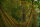 Nash Scope OPS Retract Landing Net 42"