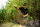 Nash Scope OPS Retract Landing Net 42"