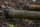 Nash Scope OPS Retract Landing Net 42"