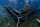 Nash Scope Retract Landing Net 42"