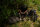 Nash Scope OPS 4 Fold Pro Sleep System