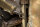 Nash Trax Barrow Adjustable Straps