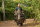 Nash Trax Barrow Adjustable Straps
