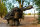 Nash Trax Barrow Front Pannier Camo