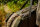 Nash Carp Care Flat Mat Camo