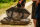 Nash Carp Care Easy Float Retainer Sling Camo